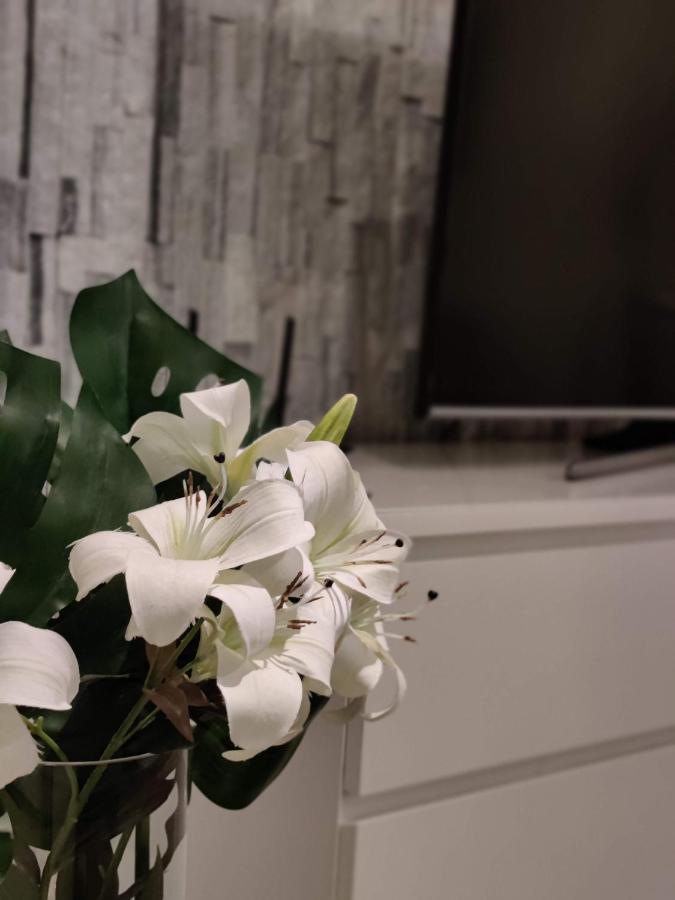 Arena Apartment - Own Sauna, In The Heart Of Tampere Near To Nokia Arena 外观 照片
